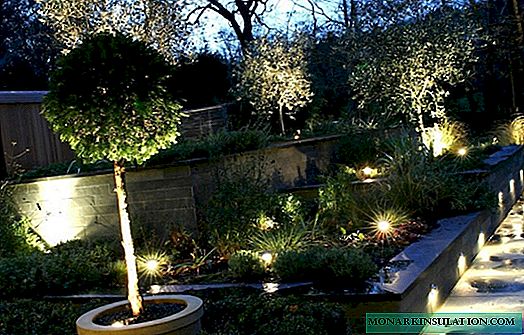 Comparative review of garden lights: how to choose the right garden lighting
