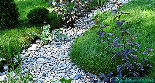 Napravite sami suhi potok u ljetnoj kućici: sve o uređaju "kamene rijeke"
