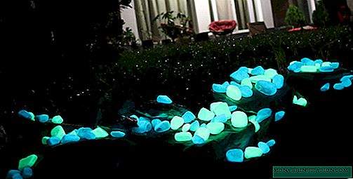 Светещи камъни за ландшафтен дизайн: техники за осветяване на сайта