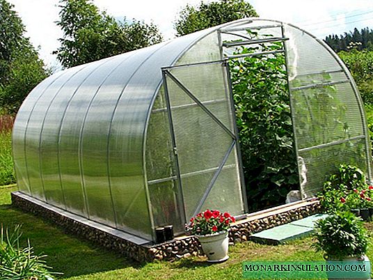 Polykarbonat växthus: designalternativ och DIY-konstruktion