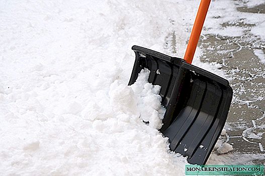 Čišćenje snijega: uporedni pregled snježnih međa