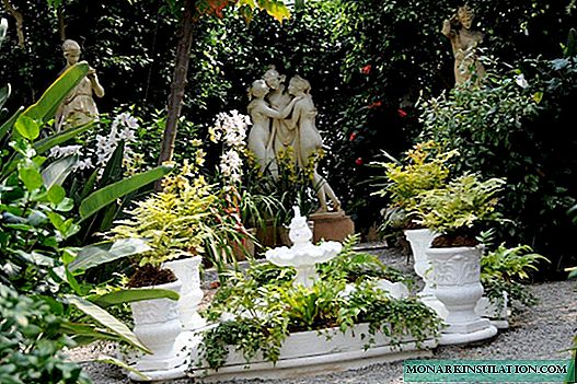 Ділянка в середземноморському стилі: сади південної Європи в російських реаліях