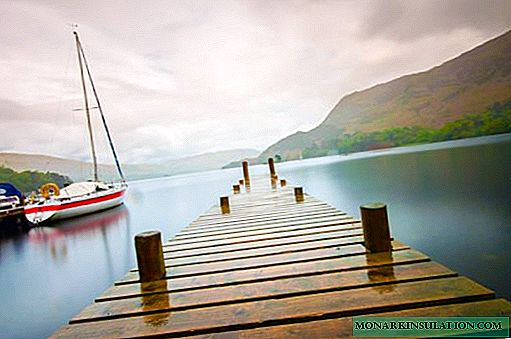 The device of wooden bridges and moorings: design options