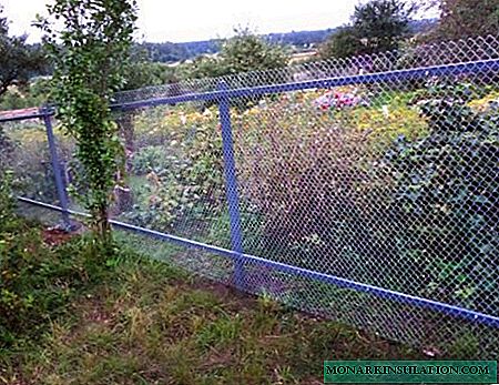 Fence device made of mesh-netting using the example of tension and sectional structures