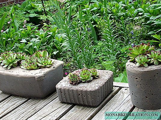 Pots de fleurs de bricolage en pneus, béton et autres matériaux