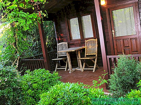 Hágalo usted mismo jardinería vertical de una residencia de verano: sabiduría de diseño