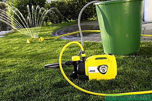 Choosing a water pump for a summer residence, home and garden: an overview of all types of pump structures