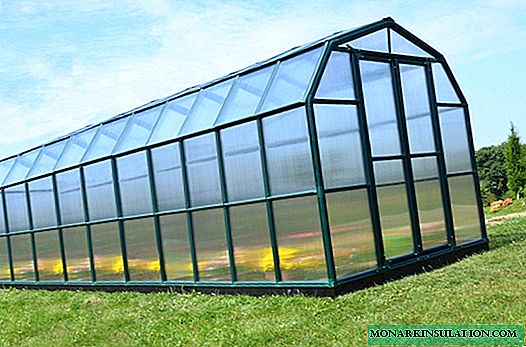 Types of greenhouses: a comparative overview of various types of structures