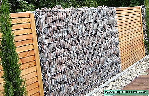 Types of fences for summer cottages: how to choose the best option for your needs
