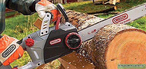All about chains for power saws: how to choose, correctly replace and sharpen
