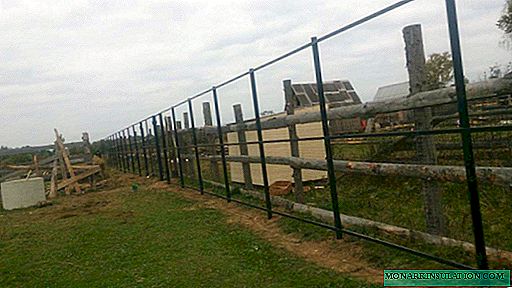Fence on screw piles: fencing device for unstable soil