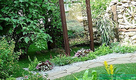 Mirrors as an original element of the garden: creating optical illusions