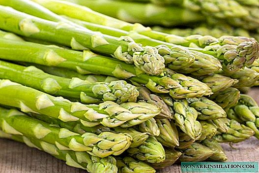 Lernen Sie Delicious Asparagus kennen - Lieblingsgemüse der französischen Könige