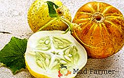 Краставица-лимон: екзотична в градината