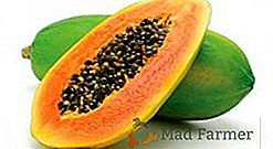 Cómo cultivar papaya a partir de semillas en casa