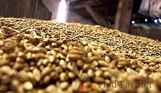 Rusagrotrans je februarja in marca zmanjšal napoved izvoza žita iz Rusije