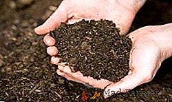 Výřez kompostu: výběr místa a možnosti výstavby