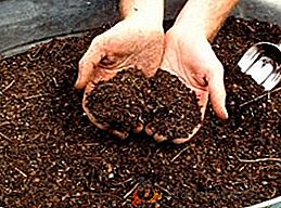 Vlastnosti přípravy kompostu vlastními rukama