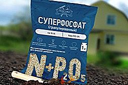 Come viene usato il perfosfato in agricoltura?