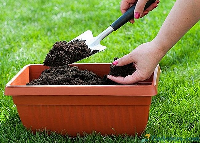 Ako urobiť kompost doma