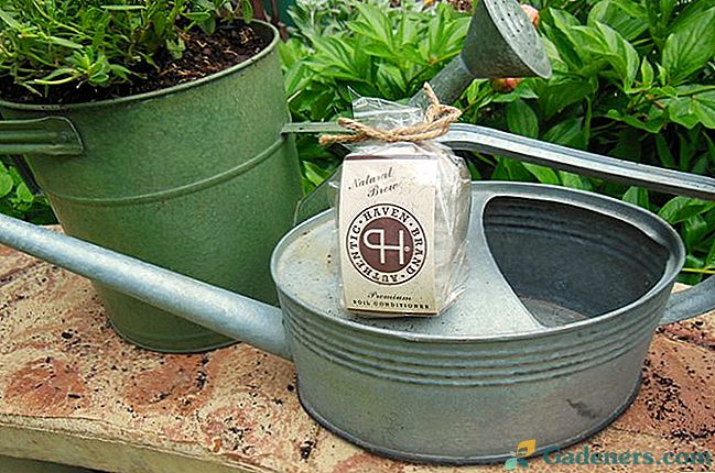 Kompostový čaj: čo to je a ako to urobiť