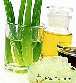 Aplicarea aloe și miere în medicina populară pentru tratamentul stomacului
