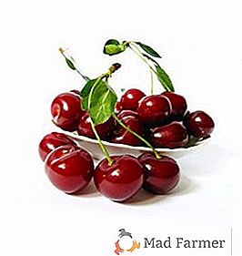 Cherry: užitočné vlastnosti a kontraindikácie
