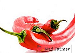 Výhody a škody spôsobené chilli papričkami