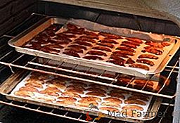 Maçãs de secagem em um forno a gás para o inverno: regras, dicas, receitas