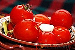 Comment faire cuire les tomates aigres dans une casserole avec de l'eau froide et une méthode sèche? Les meilleures recettes