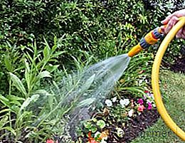 Come scegliere i tubi per irrigazione: tipi e caratteristiche dei tubi da giardino