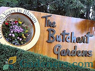 Kanadski čudo - jedinstveni Butchart vrtovi