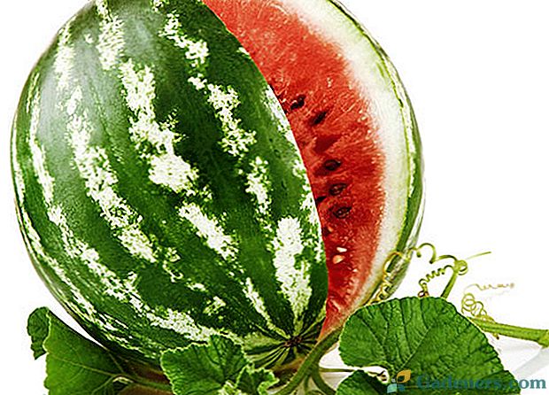 Je možné jesť vodné melóny s diabetom typu 1 a 2?