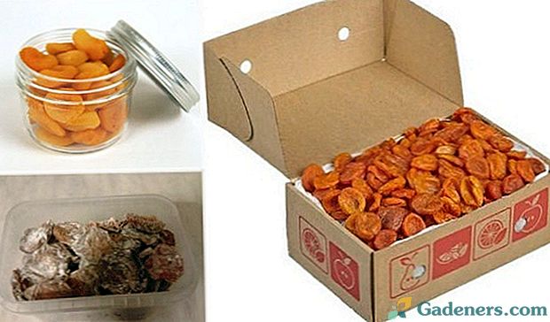 Ar žinote, kaip namie laikyti džiovintus abrikosus?