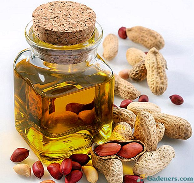 Арахісове масло - корисний продукт для здоров'я, смаку і краси