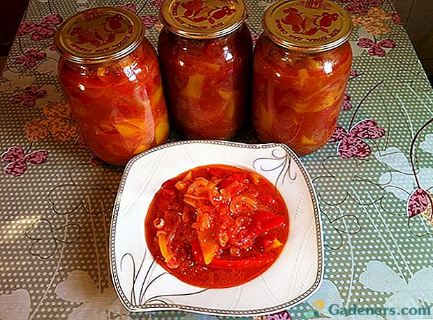 Voňavé bulharské korenie v zdravých paradajkových šťavách na zimu