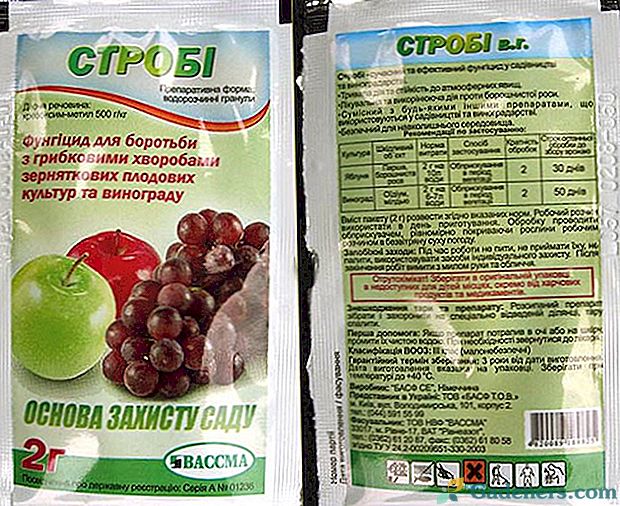 Средства для винограда. Строби 2 г. Строби отрава. Фунгицид Строби (BASF). Хорус (Строби).