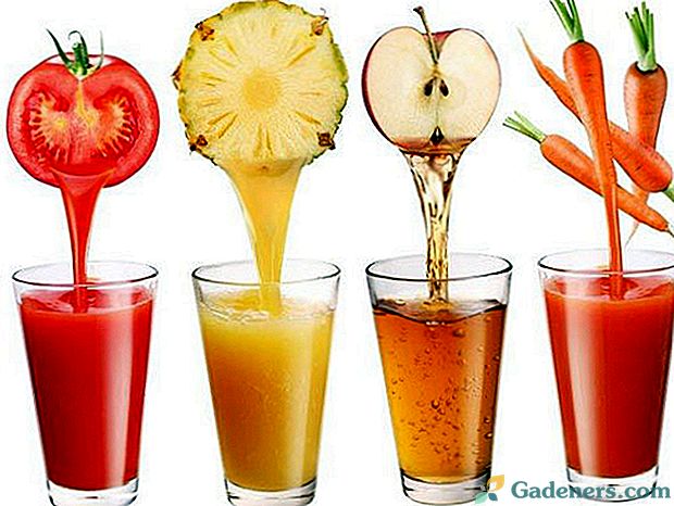 Kas ir noderīga ananāsu sula mūsu veselībai