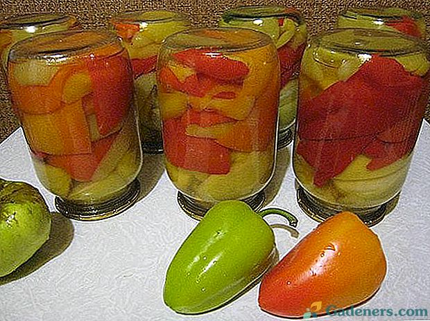 Bralci priporočajo, da se prazne paprike popijejo z zimsko mizo