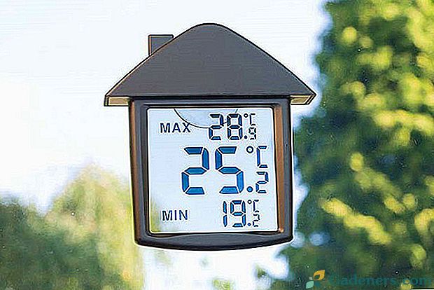Дигитални термометар са транспарентним ЛЦД екраном, направљен у Кини