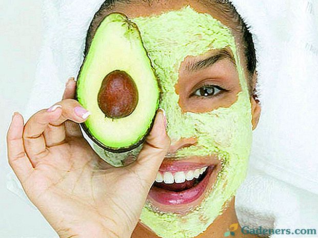 Осъществяване на уникална авокадова маска за лице у дома