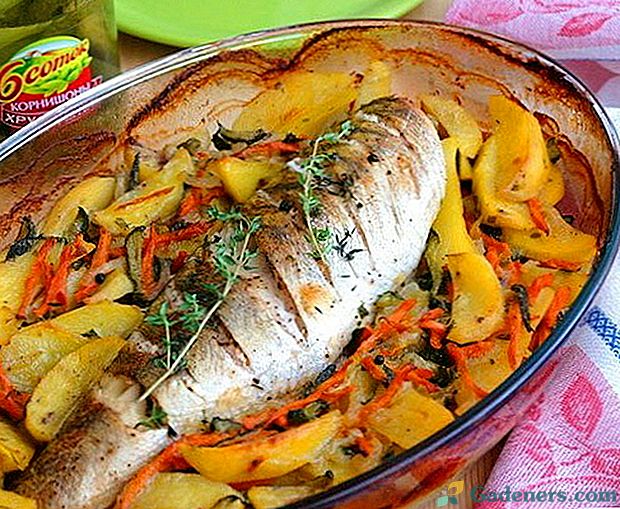 Za ljubitelje ribjih jedi - pečenka pečena v peči