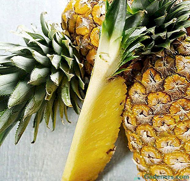 Valgykite ananasus namuose ne tik atostogose