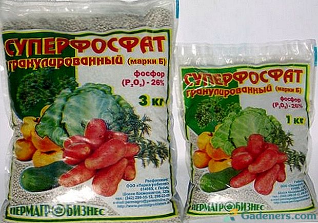 Fosforečné hnojivá pre rajčiaky: druhy, názvy, použitie