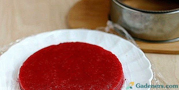 Kuhanje korfu od jagode prema klasičnom receptu