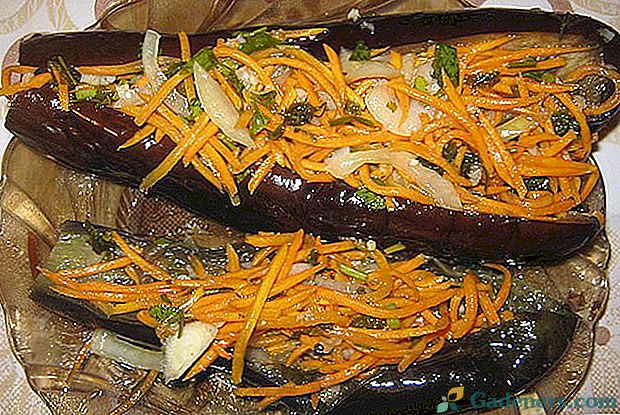 Kuhanje jesensko jelo - ukiseljene patlidžane punjene povrćem