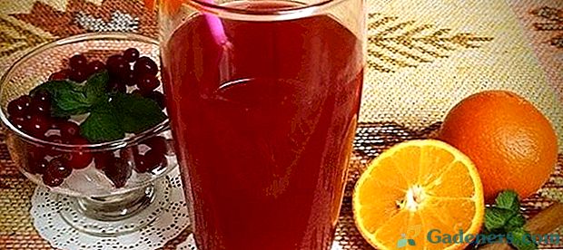 Varenie zdravého nápoja - brusnicový džús