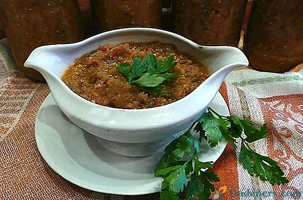 Kuhanje zdrave povrće - kavijar od tikvica i patlidžana