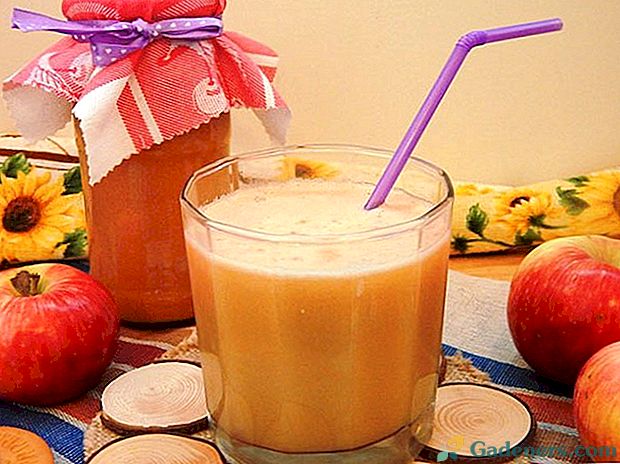 Готвене ябълков сок от ябълки с невероятен вкус за зимата