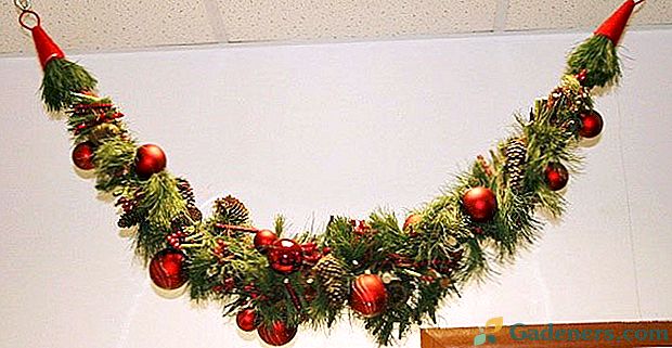 Pripravujeme sa na nový rok: vybrať vianočný stromček girlandu pre dom